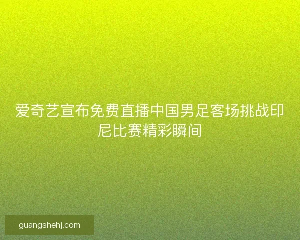 爱奇艺宣布免费直播中国男足客场挑战印尼比赛精彩瞬间
