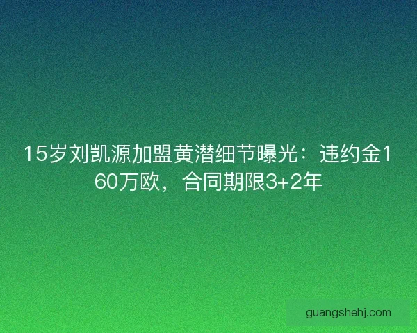 15岁刘凯源加盟黄潜细节曝光：违约金160万欧，合同期限3+2年